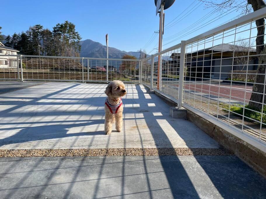 Mt. Fuji Kokoワンちゃんokの新築貸別荘 Fujikawaguchiko Luaran gambar