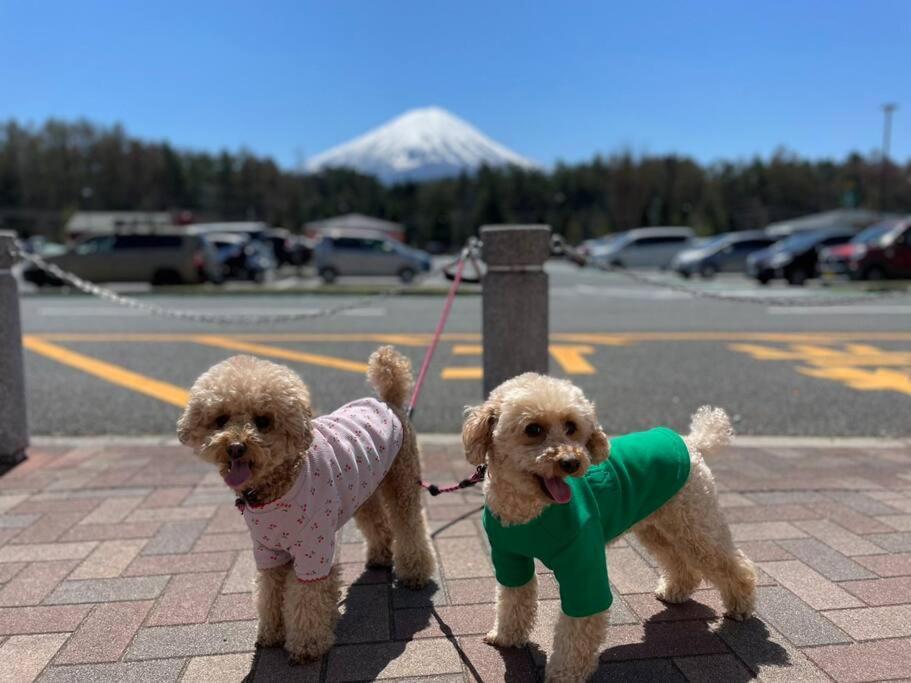 Mt. Fuji Kokoワンちゃんokの新築貸別荘 Fujikawaguchiko Luaran gambar